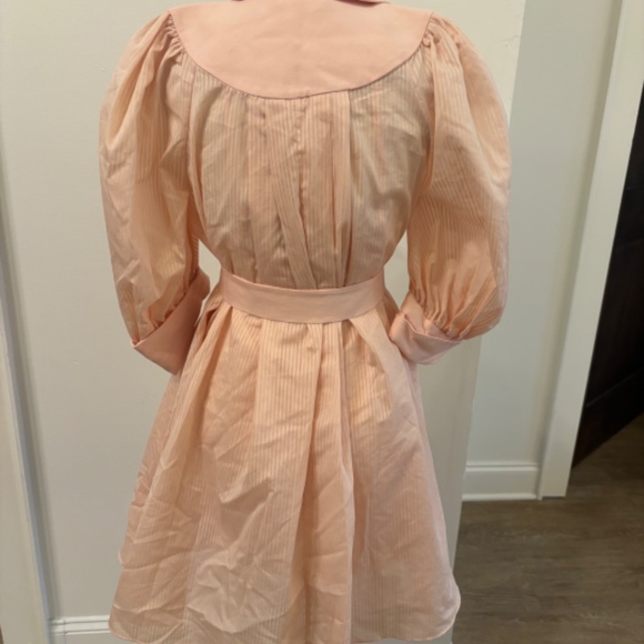 Acler shirt dress, pink, pleated, US 2 - Picture 3 of 3